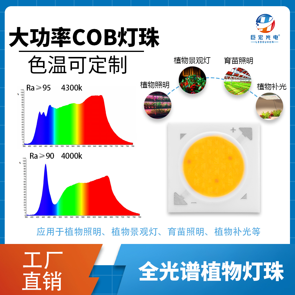 产品图